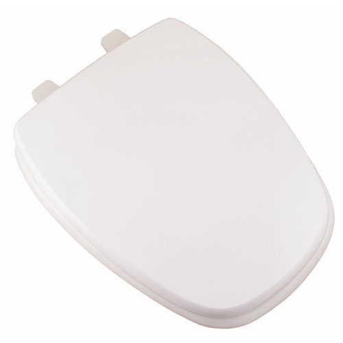 Jones Stephens Elongated Toilet Seat and Lid & Reviews Wayfair